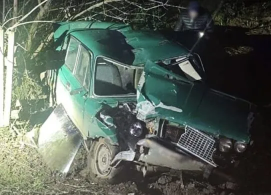 На Звягельщині легковик врізався в електроопору: постраждали двоє