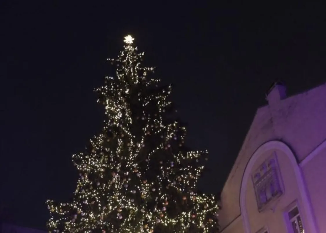 У центрі Житомира засвітять головну ялинку вже 6 грудня