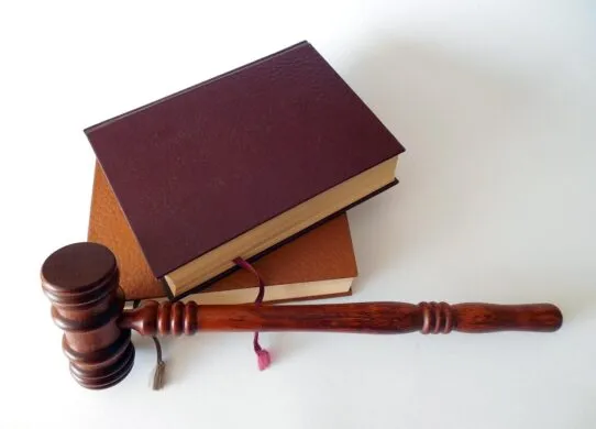 У Житомирі чоловік отримав 11 років за гранату, наркотики та напад на копів