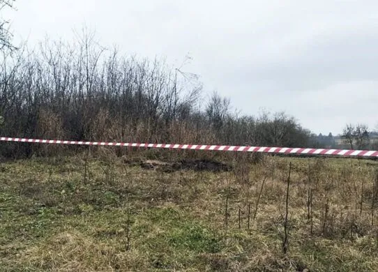 На Житомирщині вбили чоловіка і закопали на городі