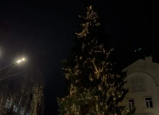 Головна ялинка Житомира засяяла на Михайлівській