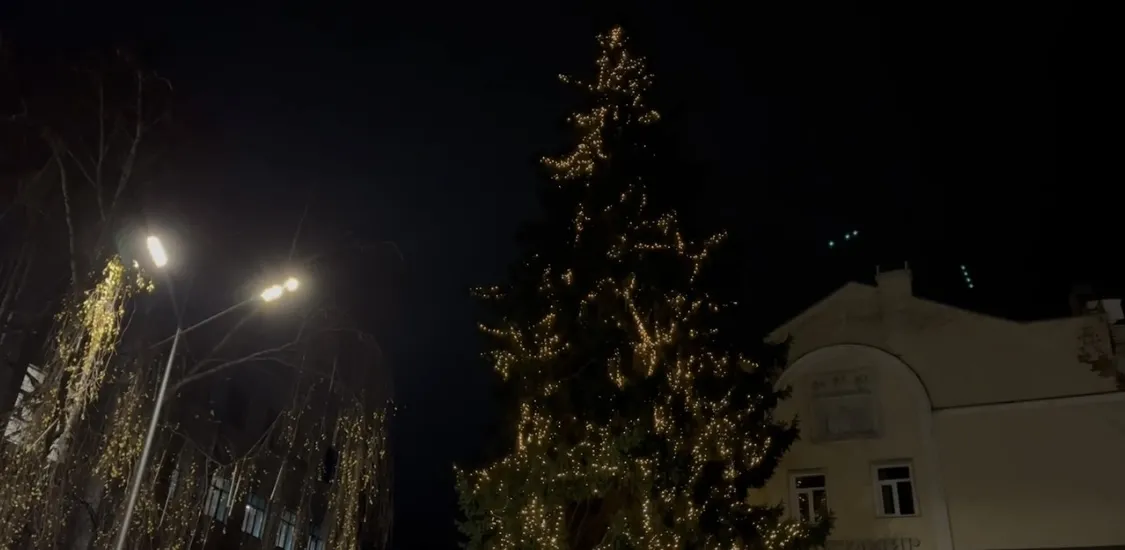 Головна ялинка Житомира засяяла на Михайлівській
