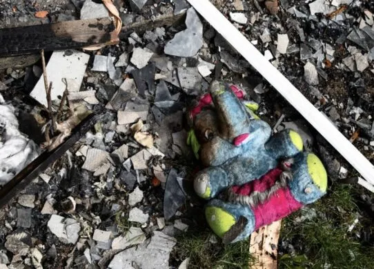 У Бердичеві біля міського басейну виросло стихійне сміттєзвалище