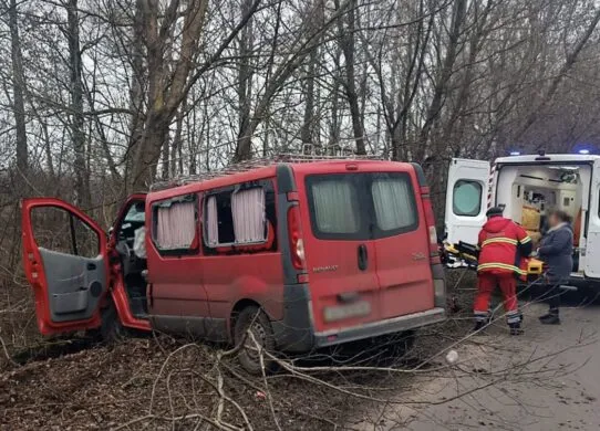 ДТП під Житомиром: мікроавтобус вилетів з дороги, двоє постраждалих