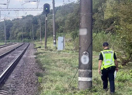 На Житомирщині засудили чоловіка, який підпалив релейну шафу