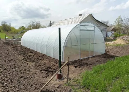 Як вибрати місце під теплицю: де поставити теплицю, щоб вона приносила прибуток, а не збитки