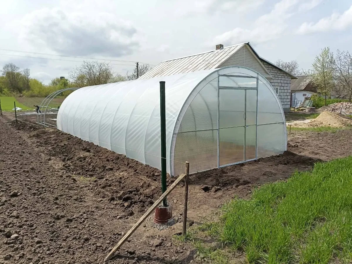 Як вибрати місце під теплицю: де поставити теплицю, щоб вона приносила прибуток, а не збитки