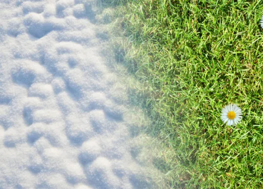 Стрітення 2026: коли святкуємо за новим стилем та які прикмети віщують кінець війни та холодів?