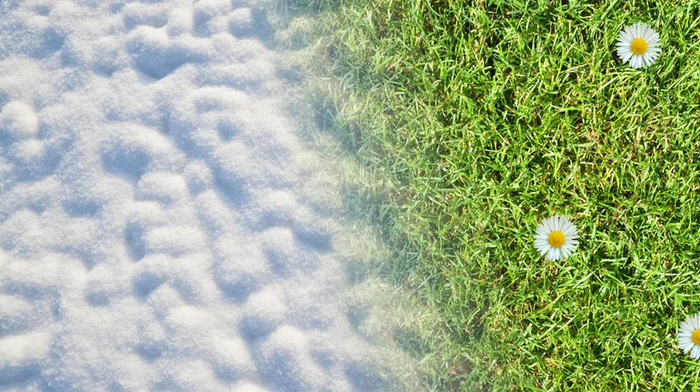 Стрітення 2026: коли святкуємо за новим стилем та які прикмети віщують кінець війни та холодів?