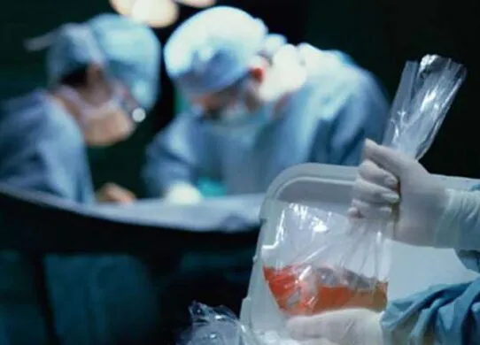У Житомирі провели три успішні трансплантації нирок за рік в обласній лікарні