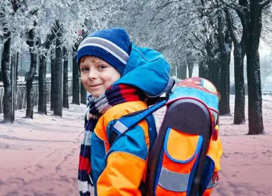 На Житомирщині канікули пропонують продовжити до 1 лютого