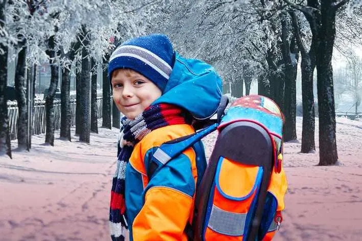 На Житомирщині канікули пропонують продовжити до 1 лютого