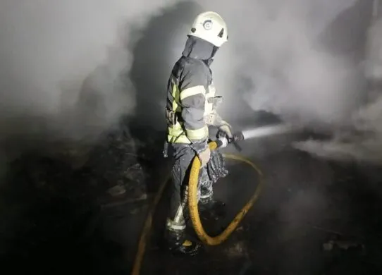 На Житомирщині вогонь забрав життя літньої господарки