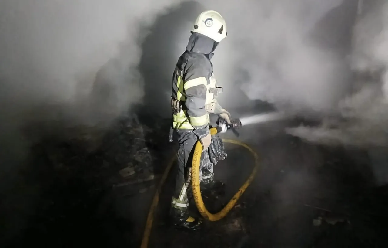 На Житомирщині вогонь забрав життя літньої господарки