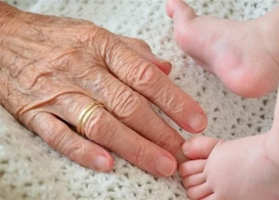 Тривожна статистика 2025: смертність на Житомирщині втричі перевищила народжуваність