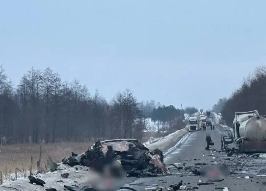 На Житомирщині перекрили трасу через страшну ДТП: є загиблі