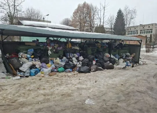 На межі екологічного лиха: мікрорайони Житомира перетворилися на стихійні звалища