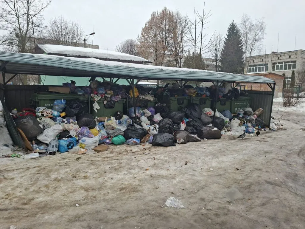 На межі екологічного лиха: мікрорайони Житомира перетворилися на стихійні звалища