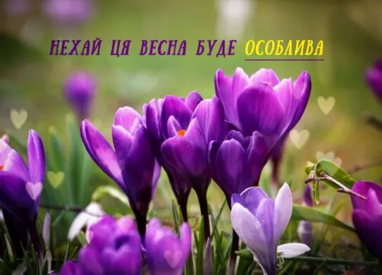 З першим днем весни 2026