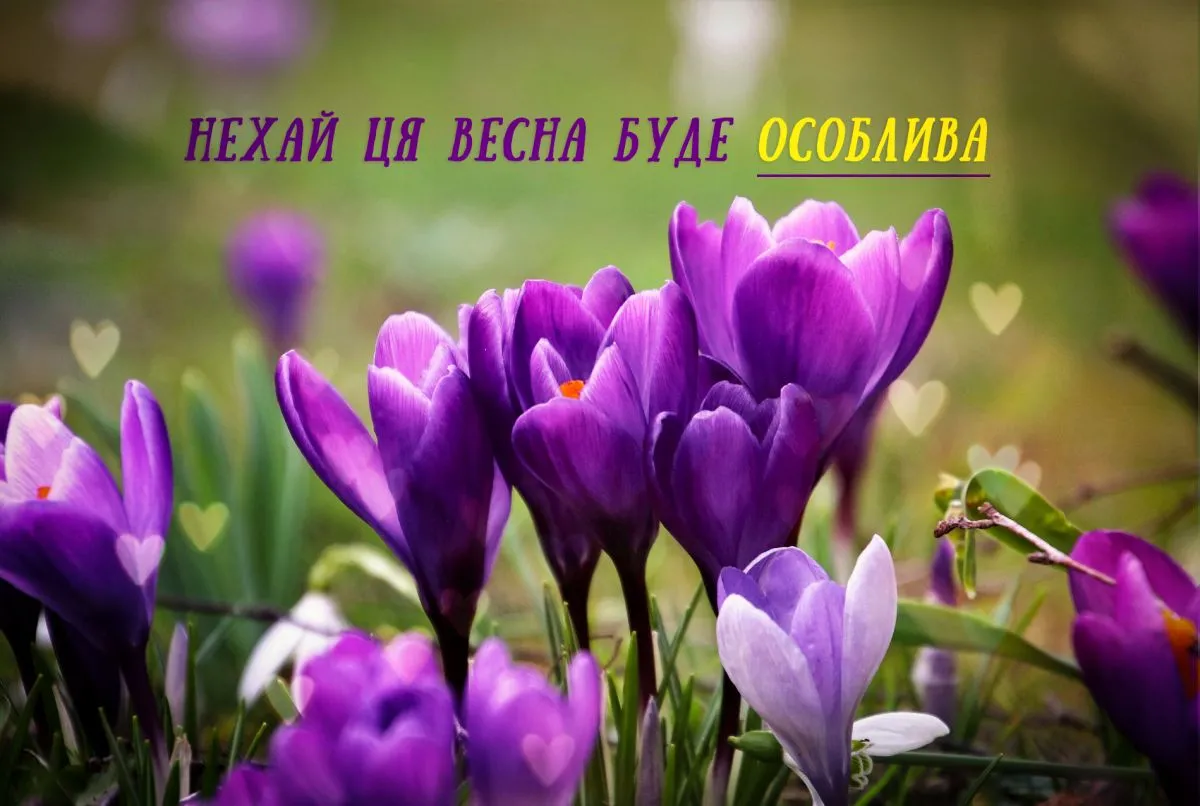 З першим днем весни 2026