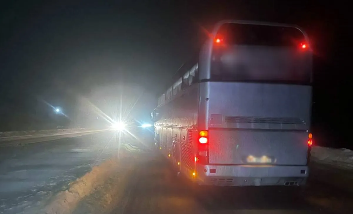 Поліція шукає свідків смертельної автотрощі на Житомирщині