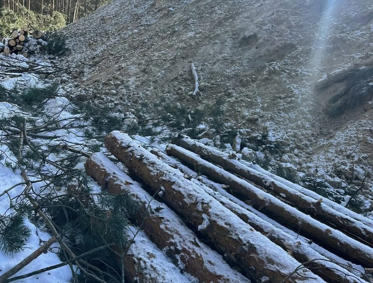 На Житомирщині заради кар'єру вирубали старий ліс