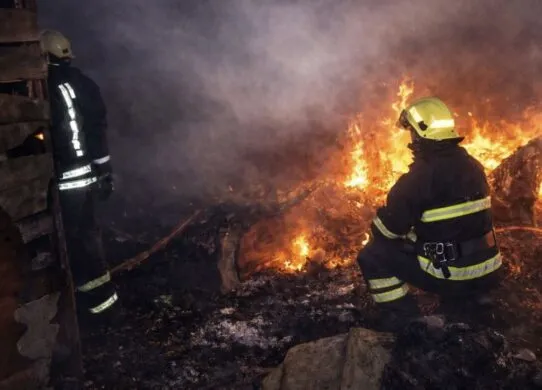 Пожежі на Житомирщині за добу: що горіло та чи є постраждалі