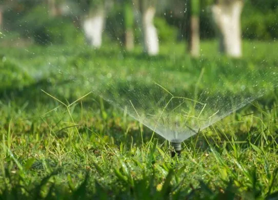 Как подобрать оптимальное оборудование для автоматического полива