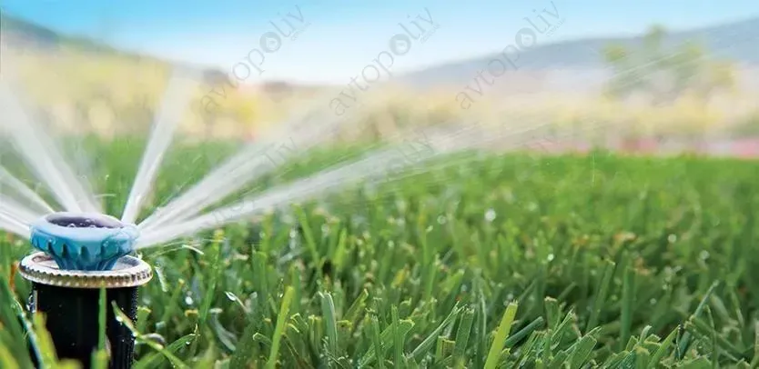 Ключевые элементы системы автополива