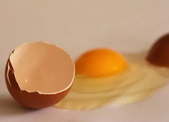 У Житомирі суд з’ясовував, хто насправді розбив яйця на шкільних сходах