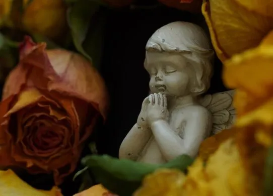 Завтра Житомир прощатиметься з захисником Віктором Паскелем