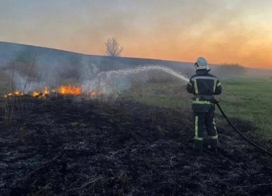 Весняне тепло на Житомирщині принесло загрозу масштабних пожеж