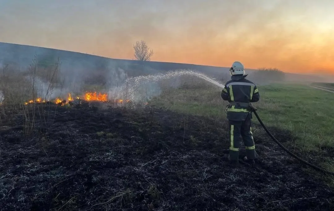 Весняне тепло на Житомирщині принесло загрозу масштабних пожеж