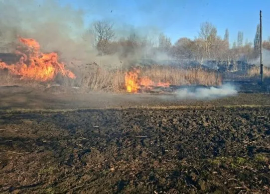 На Житомирщині двоє людей потрапили до лікарні через спалювання трави