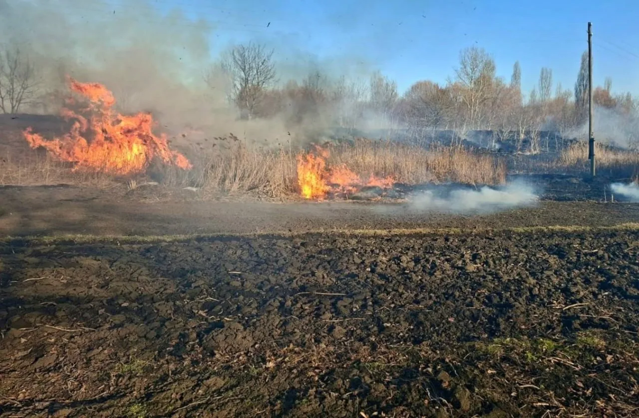 На Житомирщині двоє людей потрапили до лікарні через спалювання трави