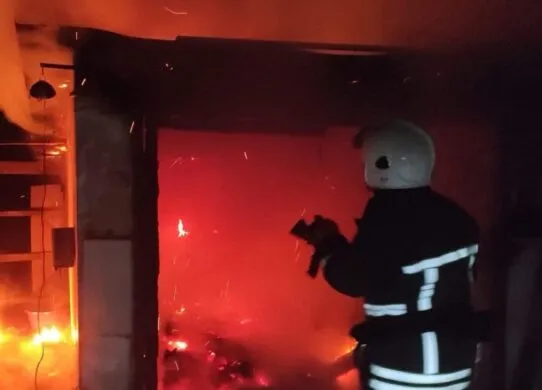 На Житомирщині під час пожежі загинула жінка