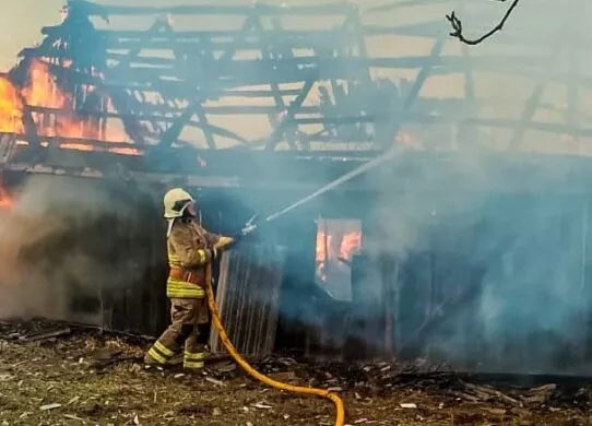 Житомирщина потерпає від вогню в екосистемах