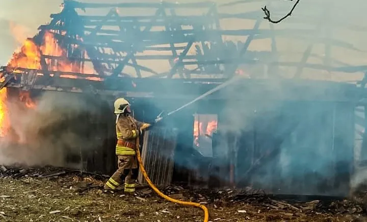 Житомирщина потерпає від вогню в екосистемах