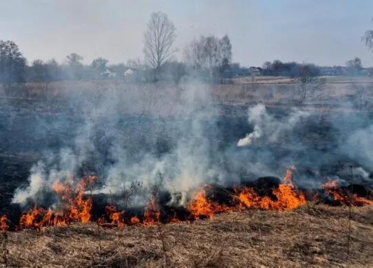 На Житомирщині 67-річного чоловіка госпіталізували через пожежу на полі