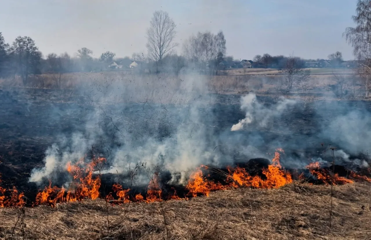 На Житомирщині 67-річного чоловіка госпіталізували через пожежу на полі