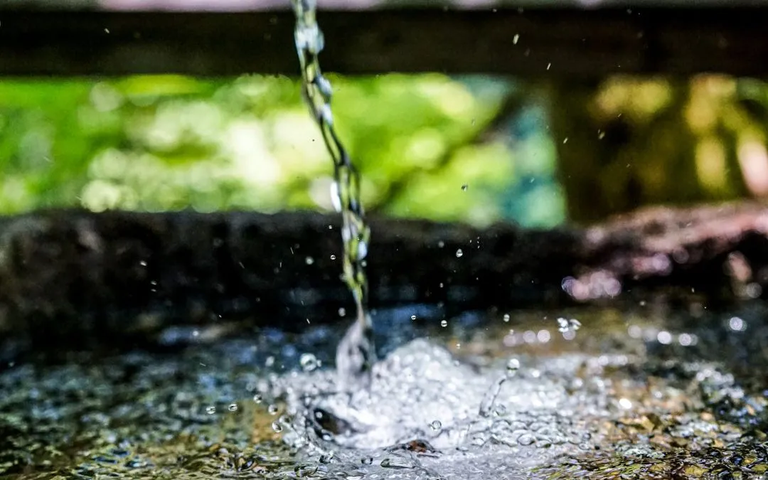 Де у Звягелі небезпечна питна вода за результатами перевірки