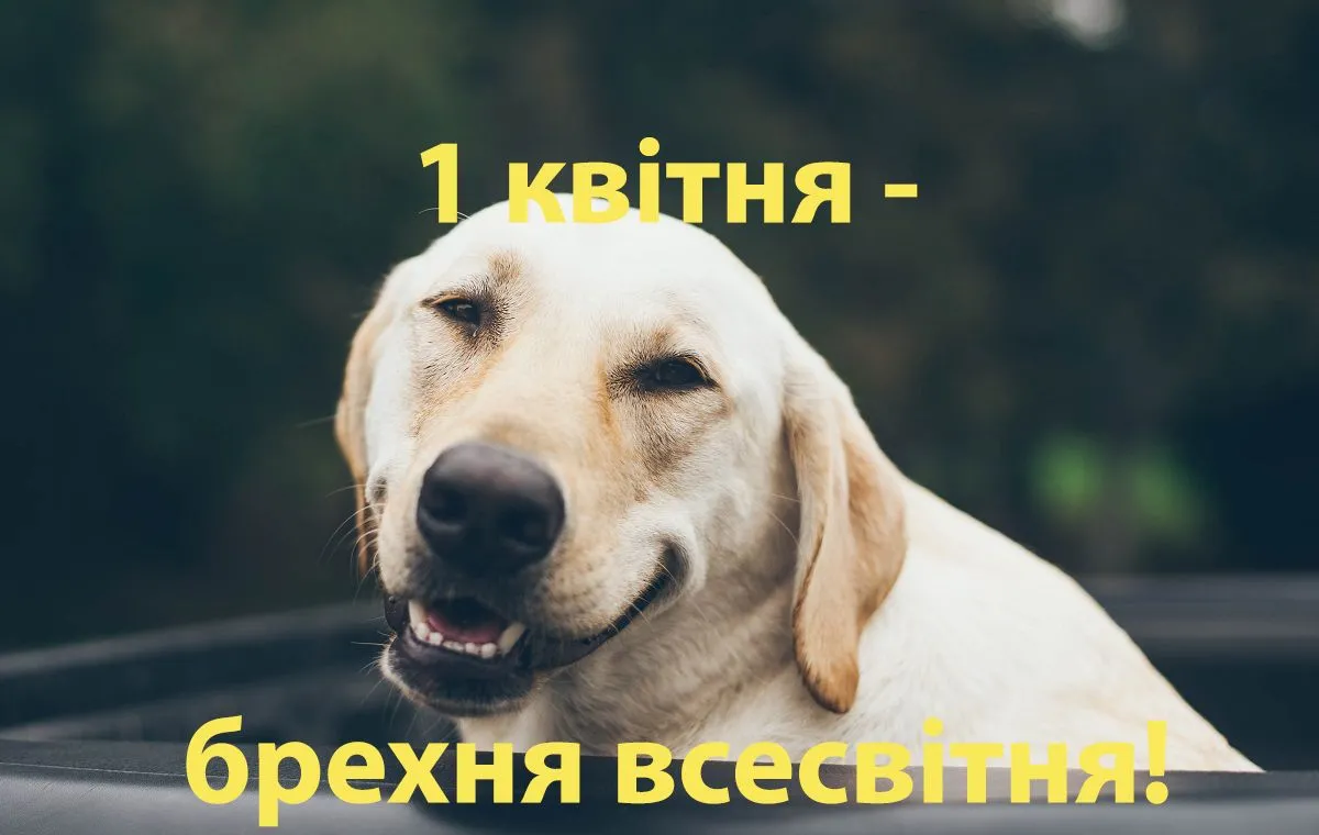 1 квітня 2026: прикольні картинки, вірші та проза з Днем сміху