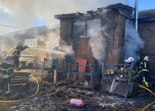 Рятувальники приборкали вогонь на підприємстві в Бердичівському районі