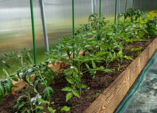 Листовий поліпропілен: які чинники змінюють вартість