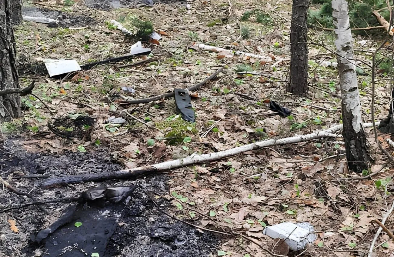 Житомир під ударом: у місті фіксують руйнування, а в області гасять лісову пожежу