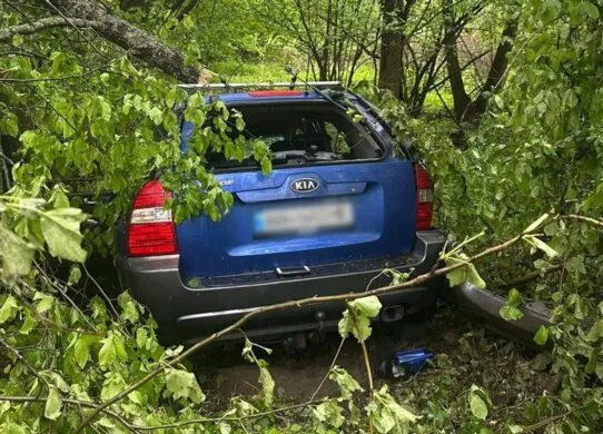 Смертельна аварія на ґрунтовій дорозі: поліція з’ясовує причини загибелі двох жителів Житомирщини
