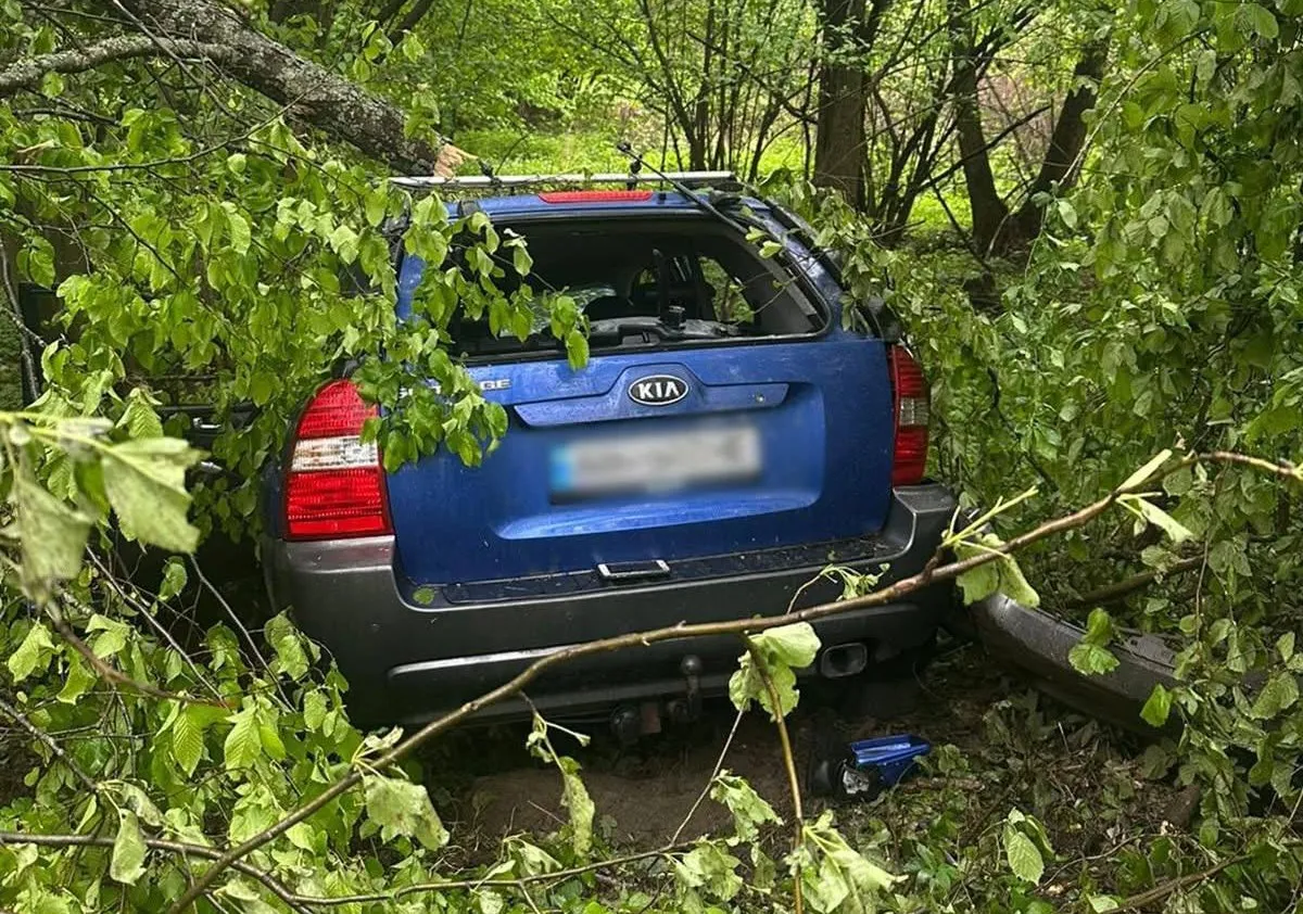 Смертельна аварія на ґрунтовій дорозі: поліція з’ясовує причини загибелі двох жителів Житомирщини