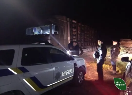 На Житомирщині лісівники перехопили порушників, які знищили пів гектара лісу