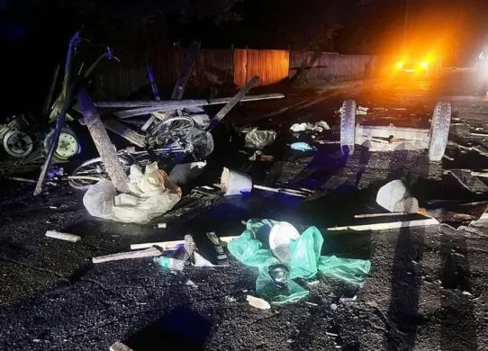 На Житомирщині затримали водія іномарки за тяжку ДТП