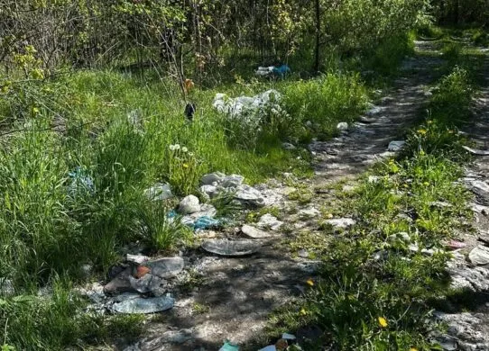 На Житомирщині вітром розносить сміття у ліс - ніхто нічого не робить